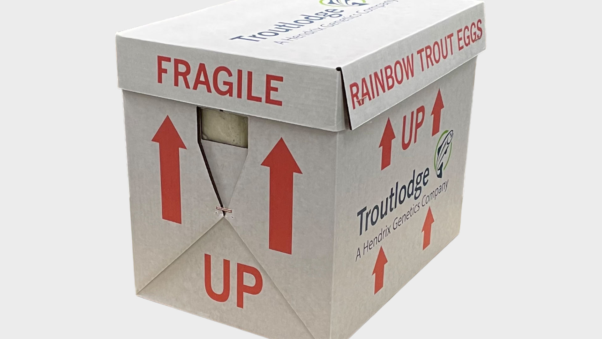 Preserving Perfection What Is Cold Chain Packaging Preserving Perfection What Is Cold Chain Packaging